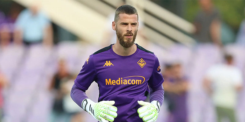 de-gea-tieu-su